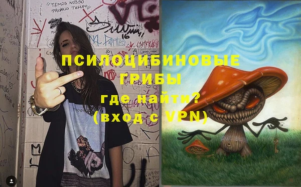 гидра Алексеевка