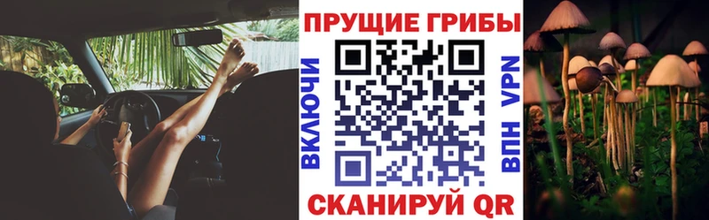 Псилоцибиновые грибы ЛСД Воткинск