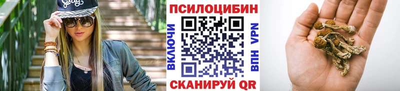 МЕГА ССЫЛКА  продажа наркотиков  Воткинск  Галлюциногенные грибы Cubensis 