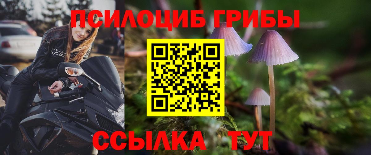 Воткинск  Псилоцибиновые грибы Cubensis  Вход с VPN  Псилоцибиновые грибы Cubensis 
